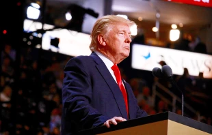 Donald Trump at the Republican National Convention in Cleveland, OH, July 18-21, 2016.   Addie Mena.