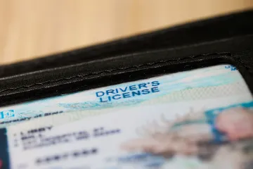 Drivers license Credit Billion Photos Shutterstock CNA