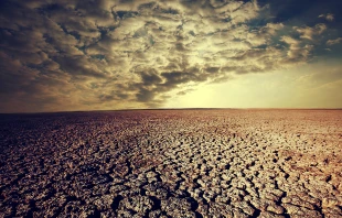 Galyna Andrushko/Shutterstock.