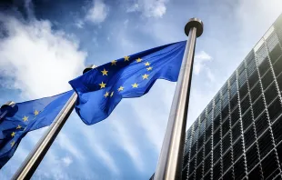 Caption: EU flags.   symbiot via Shutterstock.