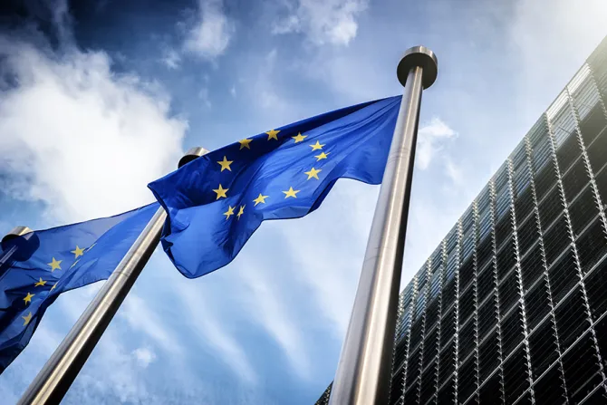 EU Flags Credit symbiot Shutterstock CNA