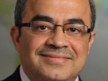 Professor Emad Shahin