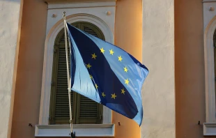 The flag of the European Union.   Bohumil Petrik/CNA.
