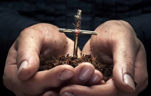 null 2happy / Shutterstock.