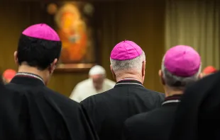 Extraordinary Assembly of Synod of the Bishops on the Family 1, Oct. 2014. null