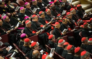 Extraordinary assembly of the Synod of Bishops on the Family. Oct. 2014.   Mazur/catholicnews.org.uk.