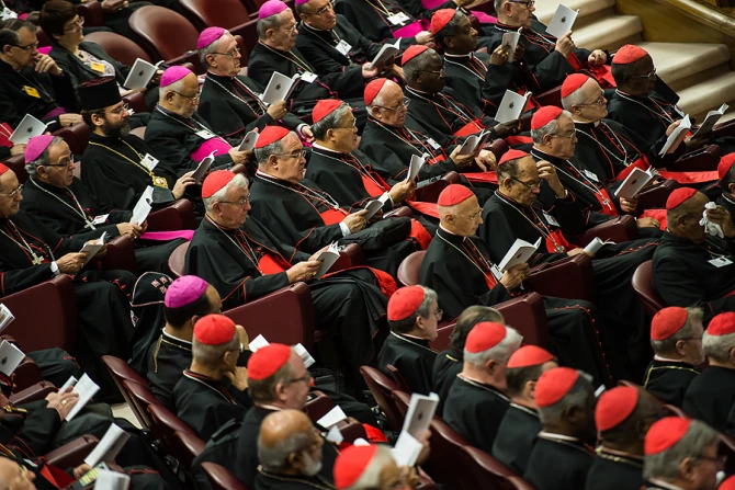 Extraordinary Assembly of Synod of the Bishops on the Family Oct 2014 Credit  Mazur catholicnewsorguk CNA 10 5 15
