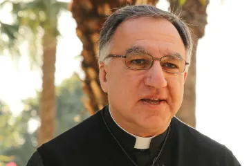 Father Thomas Rosica C