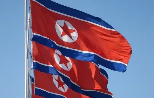 North Korean flags in Pyongyang. John Pavelka via Flickr (CC BY 2.0).