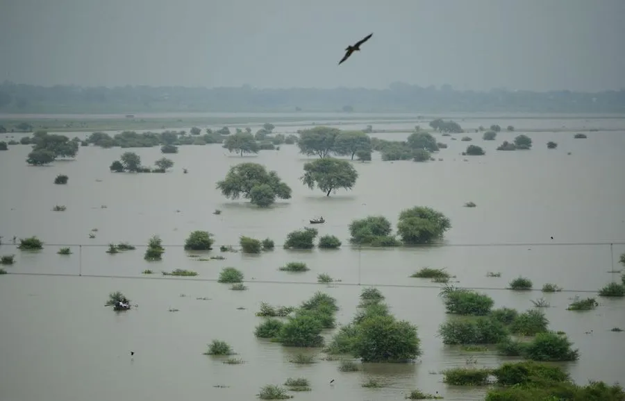 Flooding along the Ganges River Aug 21, 2019. ?w=200&h=150