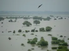 Flooding along the Ganges River Aug 21, 2019. 