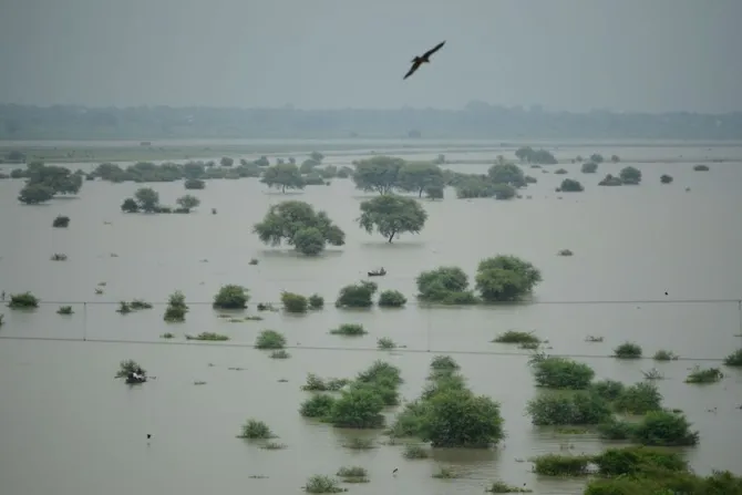 Flooding along the Ganges River Aug 21 2019 Credit Sanjay Kanojia  AFP  Getty Images