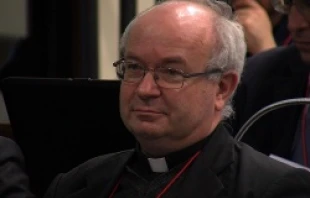 Fr. Denis Duval participates in a conference on education and the New Evangelization on Jan. 31, 2014