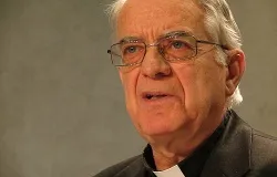 Fr. Federico Lombardi, Holy See press officer, speaking at a news conference. ?w=200&h=150