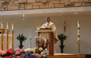 Fr. Gregory Bierbaum speaks at Mass May 9.   Mary Rezac / CNA.