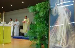 Fr. Patrice Chocholski, WACOM Secretary General, celebrates Mass at the Divine Mercy Conference at St. Bede's College 