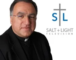 Father Thomas Rosica, CEO of the Salt and Light Media Foundation.?w=200&h=150