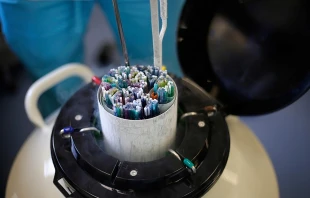 Ekaterina Georgievskaia/Shutterstock.