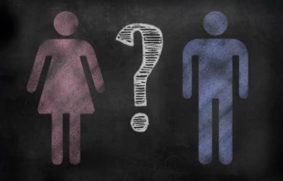 null fieldwork via Shutterstock.