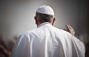 General Audience with Pope Francis, April 17, 2013.   Mazur/catholicnews.org.uk (CC BY-NC-SA 2.0).