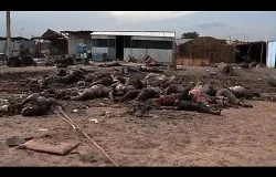[Graphic] A pile of bodies from the recent massacre in Bentiu, South Sudan. Photo courtesy of the Office of Rep. Frank Wolf.?w=200&h=150