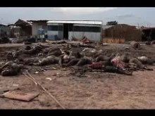 [Graphic] A pile of bodies from the recent massacre in Bentiu, South Sudan. Photo courtesy of the Office of Rep. Frank Wolf.