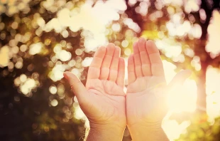 Suzanne Tucker via www.shutterstock.com.