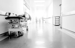 hxdbzxy/Shutterstock.