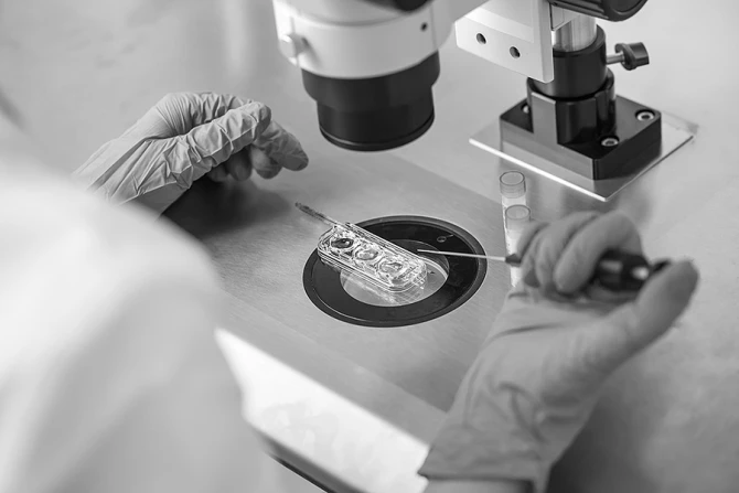 IVF doctor lab Credit bezikus Shutterstock cna