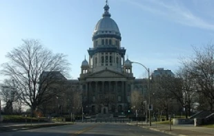 Illinois State Capitol Building.   Mark and Allegra Jaroski-Biava (CC BY-SA 2.0).