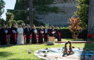 Female figures at the Synod of Bishops at the Amazon.   Vatican News