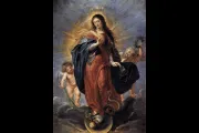 Immaculate Conception by Peter Paul Rubens CNA