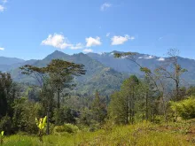 The highlands of Papua New Guinea. 