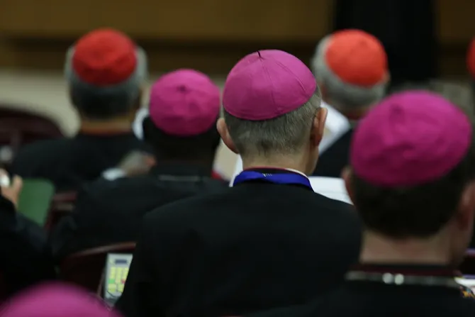 Inside the Synod Hall 10 during the meeting of bishops and cardinals on Oct 14 2015 Credit Daniel Ibanez CNA 10 14 15