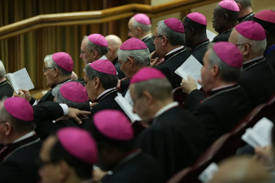Inside the Synod Hall during the meeting of bishops and cardinals on Oct. 14, 2015. ?w=200&h=150