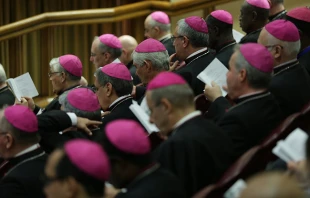 Inside the Synod Hall during the meeting of bishops and cardinals on Oct. 14, 2015.   Daniel Ibanez/CNA.