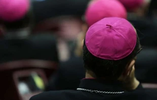 Inside the Vatican's synod hall on Oct. 14, 2015.   Daniel Ibáñez/CNA.