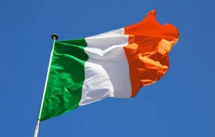 Irish flag.   L F File/Shutterstock.