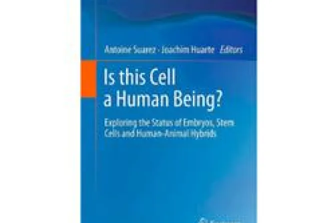 Is this Cell a Human Being Exploring the Status of Embryos Stem Cells and Human Animal Hybrids 2 CNA US Catholic News 10 26 11