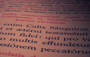 Don Calisto via Flickr (CC BY-NC-ND 2.0).