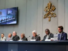 Leprosy Conference Presentation at the Vatican. 