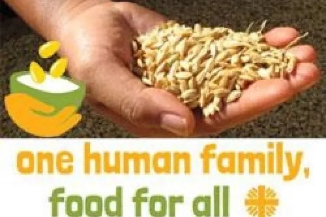 Logo for Caritas International new campaign One Human Family Food For All CNA 121013