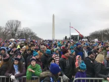 Crowds at the 2019 March for Life, Washington, DC. 