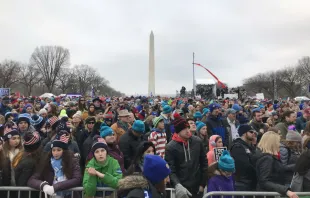 Crowds at the 2019 March for Life, Washington, DC.   Christine Rousselle/CNA