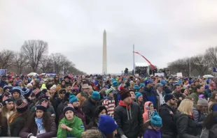 Participants at the 2019 March for Life.   Christine Rousselle/CNA