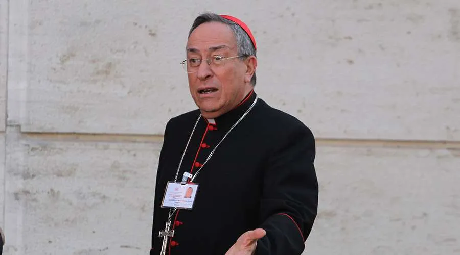 Cardinal Oscar Andrés Rodríguez Maradiaga. ?w=200&h=150