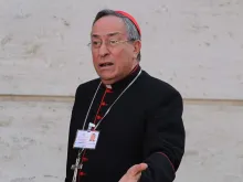 Cardinal Oscar Andrés Rodríguez Maradiaga. 
