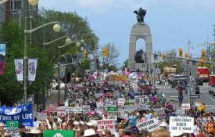 March for Life 2013 in Ottawa, Canada.   Peter Baklinski of LifeSiteNews.com.