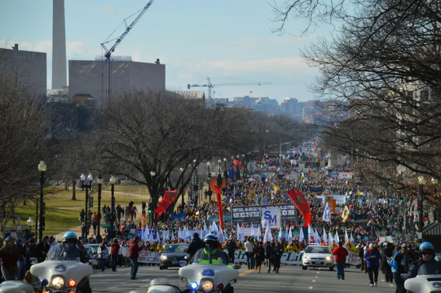 March for Life participants in Washington, DC Jan. 22, 2015. ?w=200&h=150
