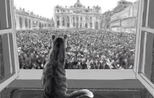 Margaret from The Pope's Cat looking out on the Square. Illustration by Roy Deleon, courtesy of Paraclete Press. 